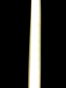 картинка Лента COB 208/м 12Вт/м  IP67 220v белый-нейтральный (50см рез) 50 м PRO от магазина gslight